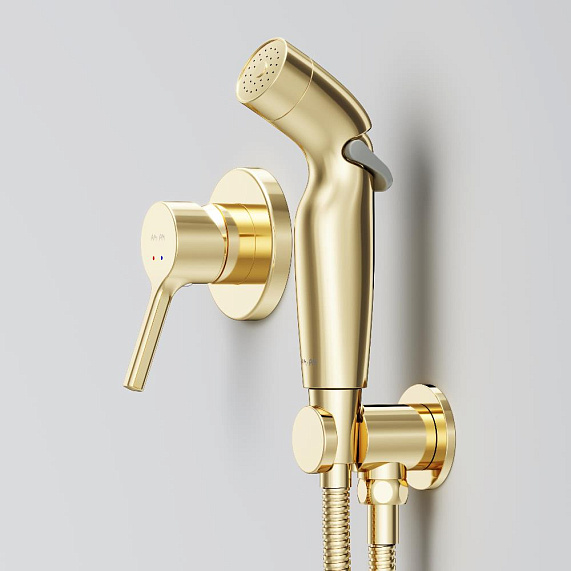 Гигиенический душ со смесителем AM.PM X-Joy S F40H85B99 золото встраиваемый, шланг 1200, держатель-1