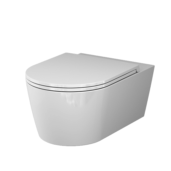 Унитаз подвесной 49 AM.PM Stern C7L1700LMSC с сиденьем микролифт, белый-10